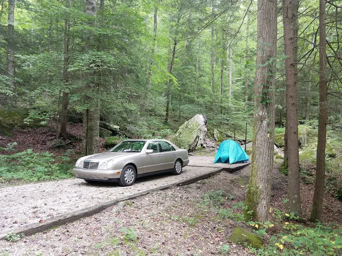 Bee Rock / Rockcastle Rapids Trail Head Picture 5