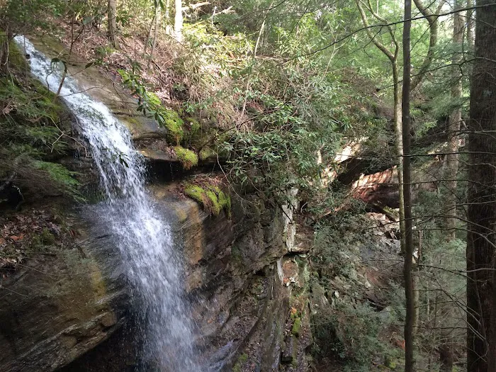 Bee Rock / Rockcastle Rapids Trail Head Picture 7