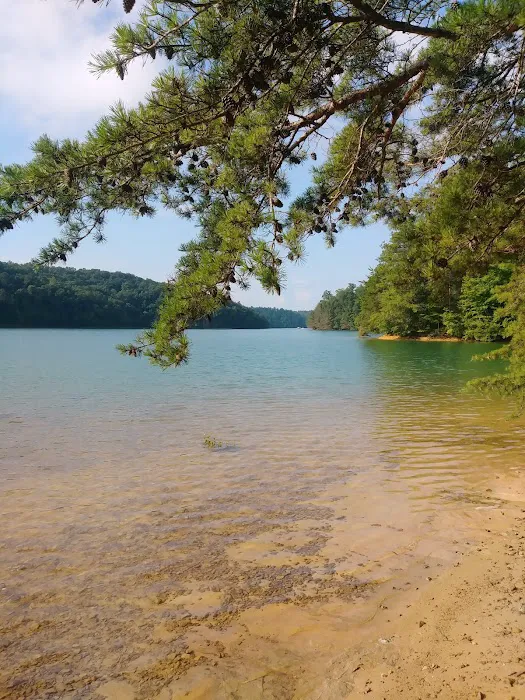 White Oak Boat-In Campground Picture 10