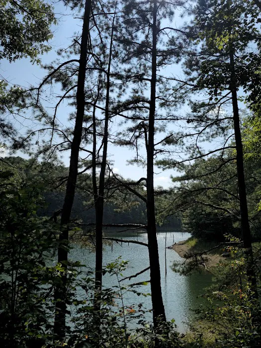 Holly Bay Campground Picture 6