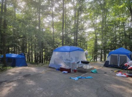 Holly Bay Campground