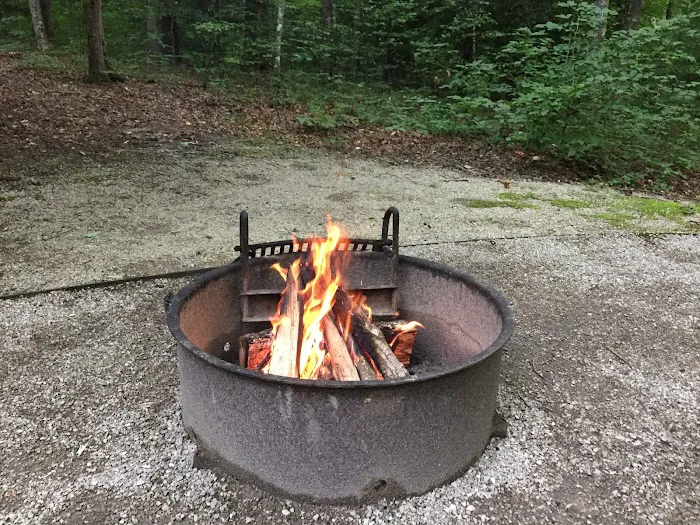 Holly Bay Campground Picture 8