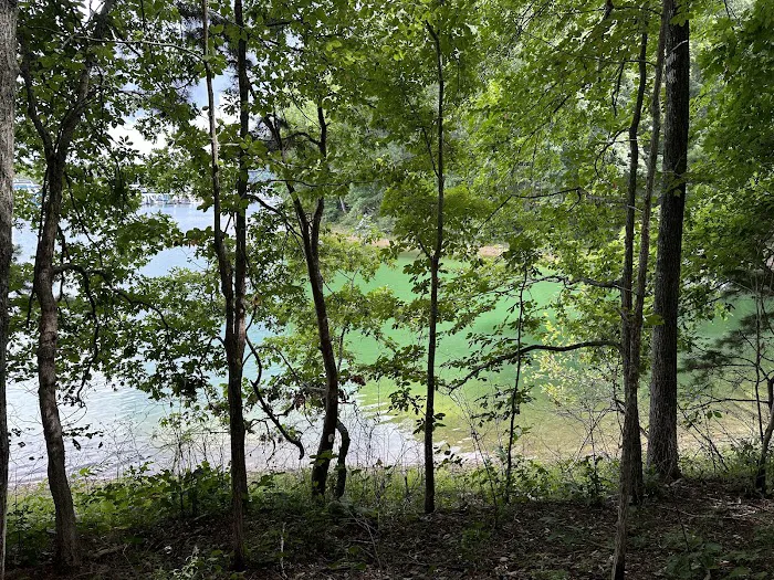 U.S. Army Corps of Engineers Laurel River Lake Picnic Area Picture 8
