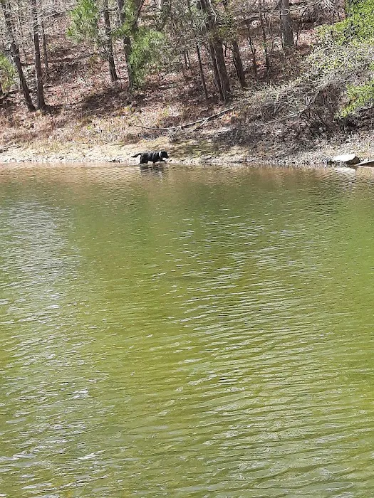 U.S. Army Corps of Engineers Laurel River Lake Picnic Area Picture 10
