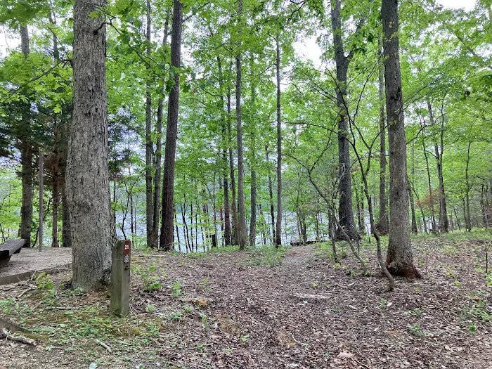 Grove Boat-In Campground Picture 6