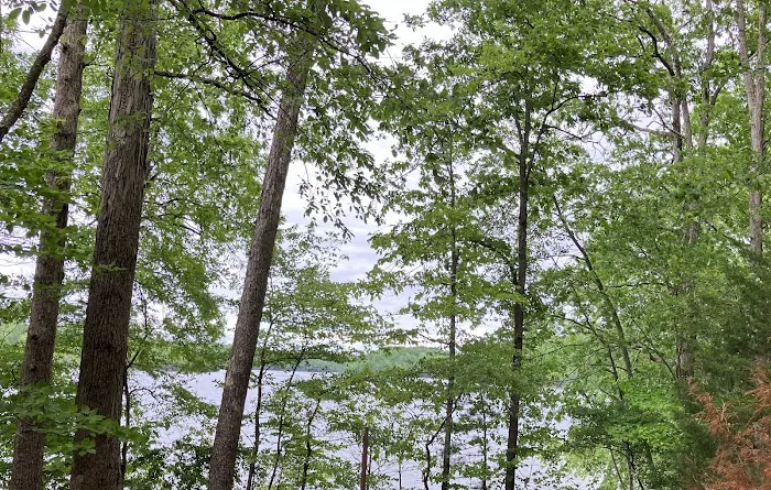 Grove Boat-In Campground Picture 3