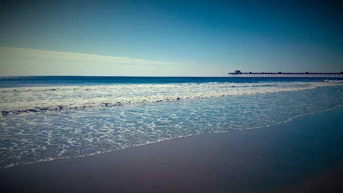 Beachfront RV Park Picture 2