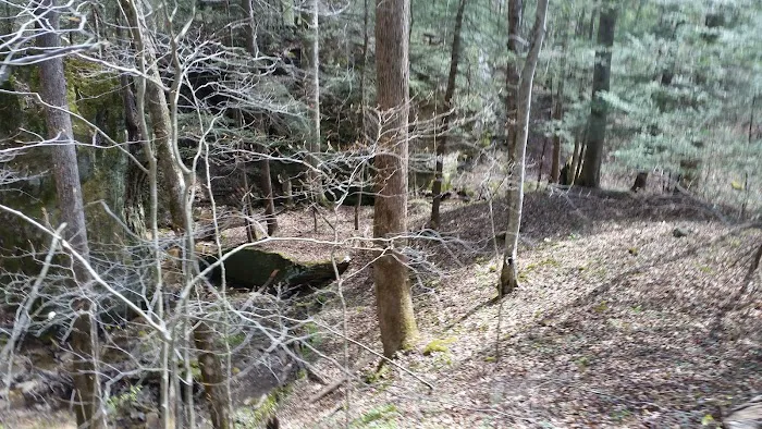 Little Lick Campground Picture 10