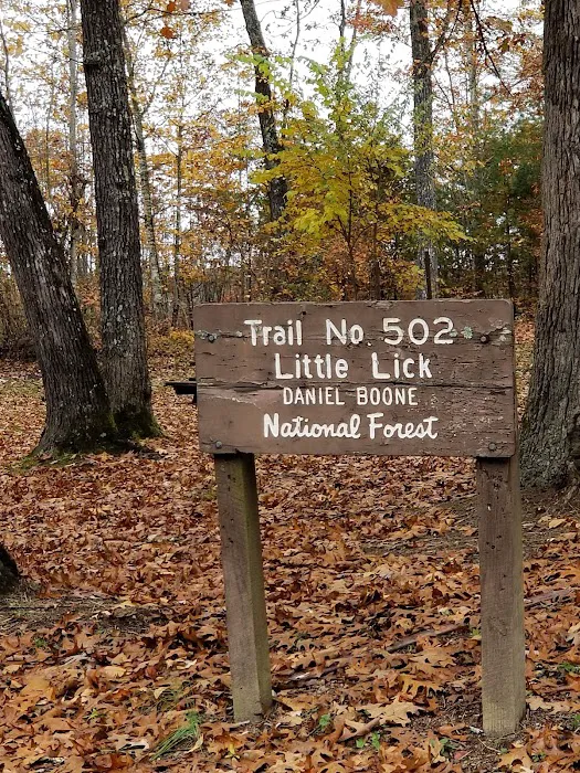 Little Lick Campground Picture 1