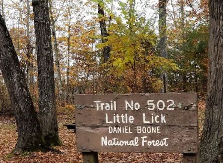 Little Lick Campground