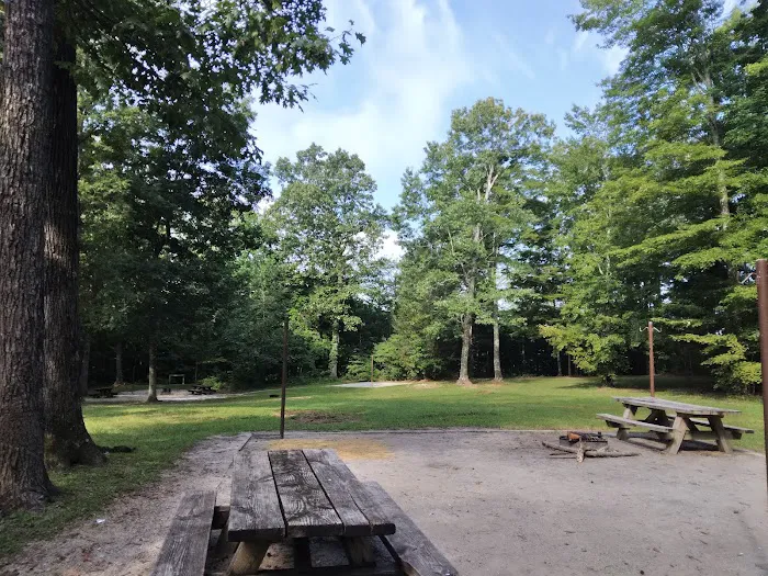 Little Lick Campground Picture 4