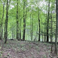 Grove Campground ico