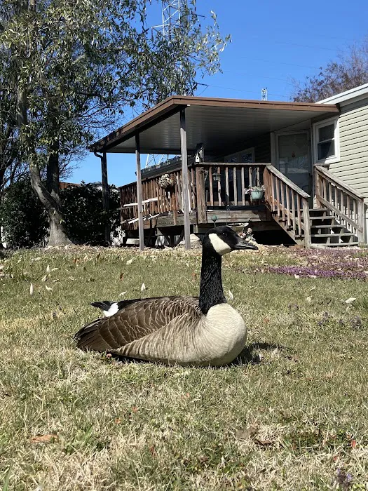 Circle Mobile Home Park, LLC Picture 5