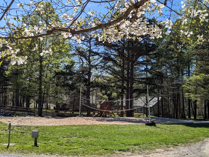 Laurel Lake Camping Resort Picture 4