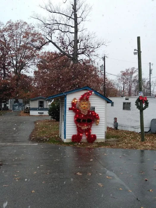Davis Mobile Home & RV Park Picture 5