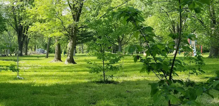 Walnut Grove Campground Picture 5