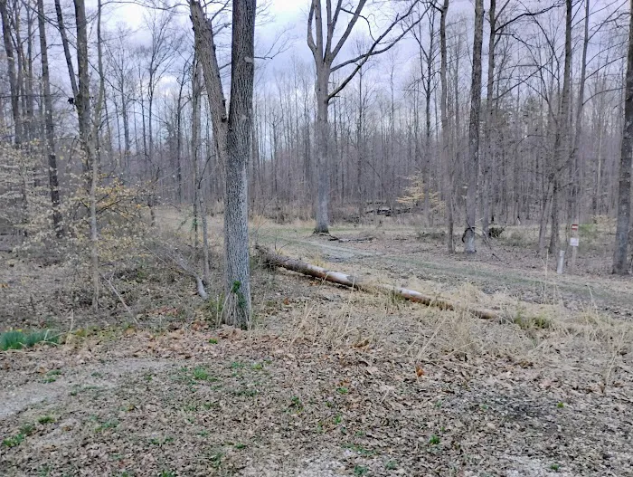 Clark State Forest Horse Campground Picture 2