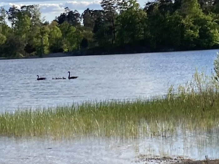 Deam Lake Horse Campground Picture 1