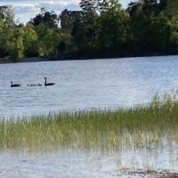Deam Lake Horse Campground ico
