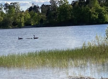 Deam Lake Horse Campground