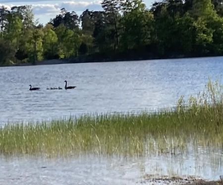 Deam Lake Horse Campground