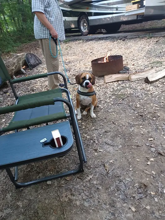 Deam Lake Horse Campground Picture 9