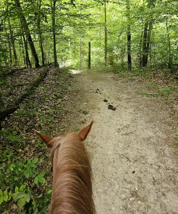 Deam Lake Horse Campground Picture 7