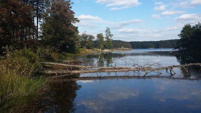 Deam Lake Horse Campground Picture 2