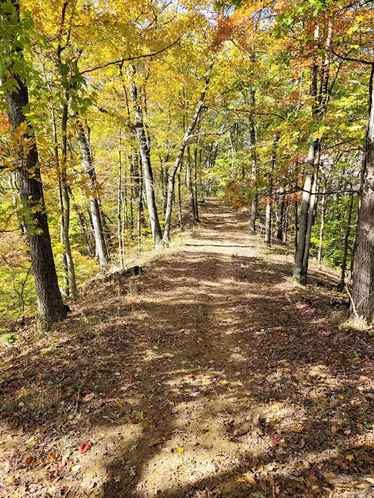 Deam Lake Family Campground Picture 4