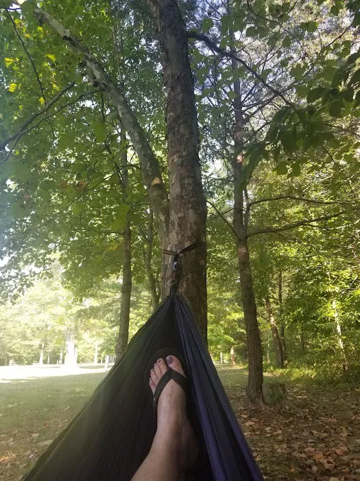 Deam Lake Family Campground Picture 7