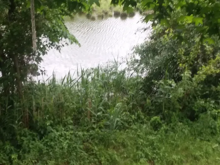 Chesapeake Mobile Home Park Picture 7