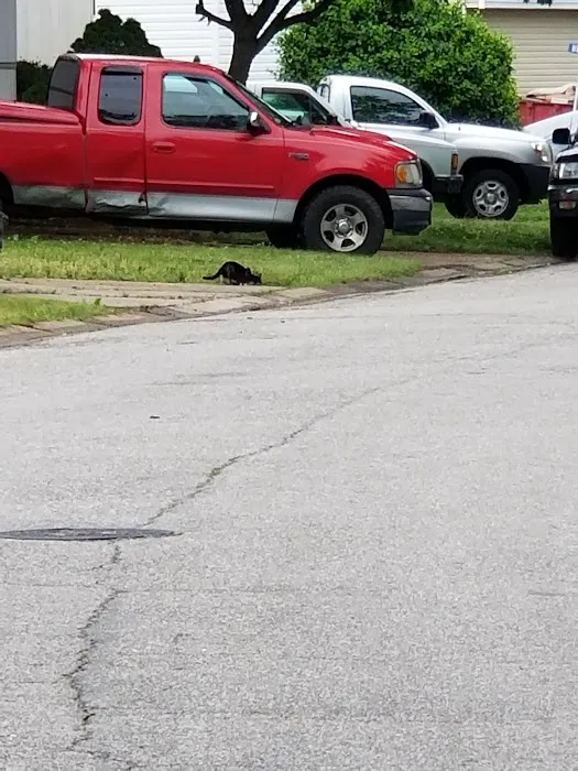Woodshire Estates Mobile Home Park Picture 2