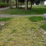 White Acres Campground