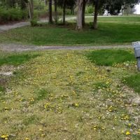 White Acres Campground ico