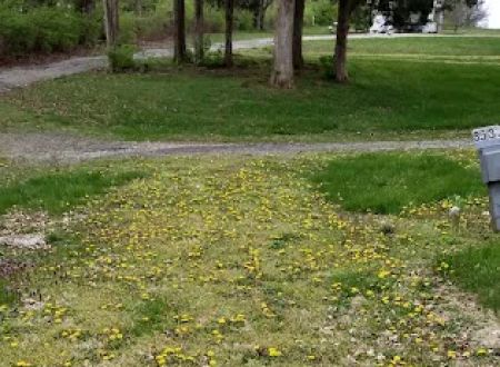 White Acres Campground