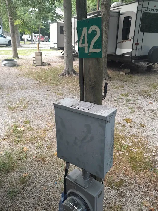 Campsite 42 Picture 5