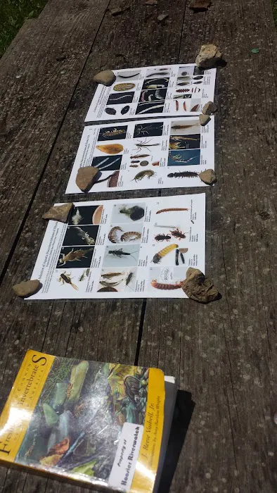 Happy Hollow Camp Picture 9