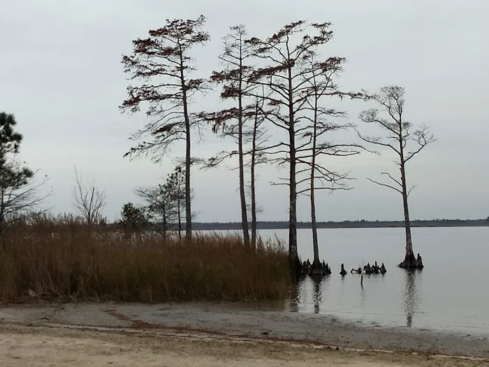 North Landing Beach RV Resort & Cottages Picture 5