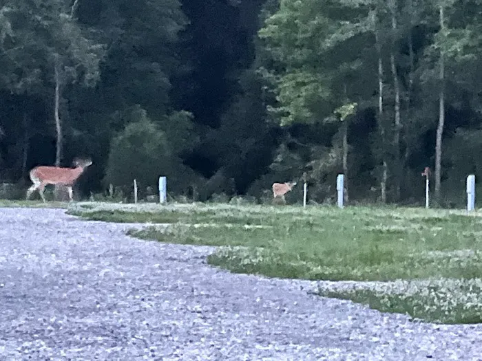 Away A Day RV Campground Picture 10