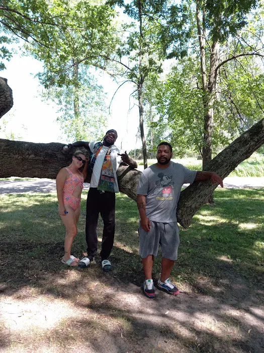 Vanderbilt County Park & Campground Picture 1