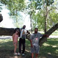 Vanderbilt County Park & Campground ico
