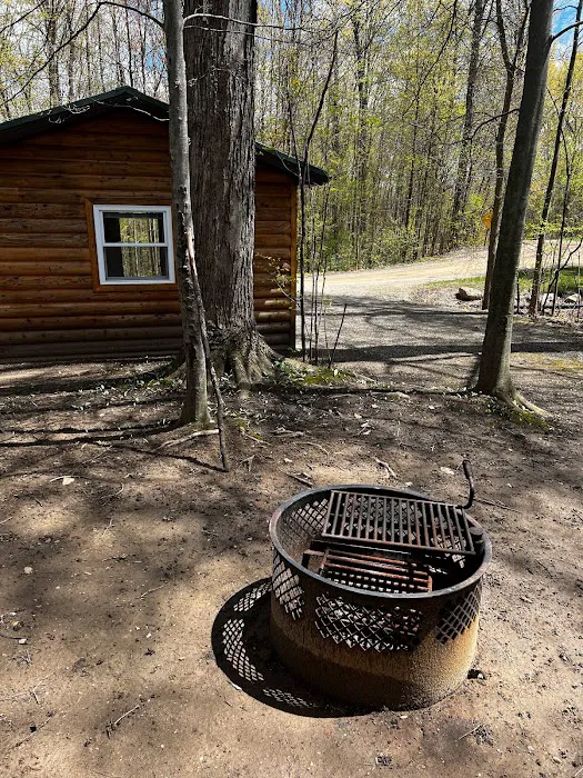 Sanilac County Evergreen Park Picture 4