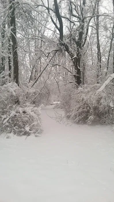 P.L. Graham Park / Campground Picture 2