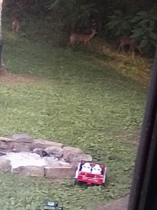 Sunday Morning RV Park Picture 9