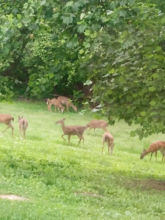 Sunday Morning RV Park Picture 7