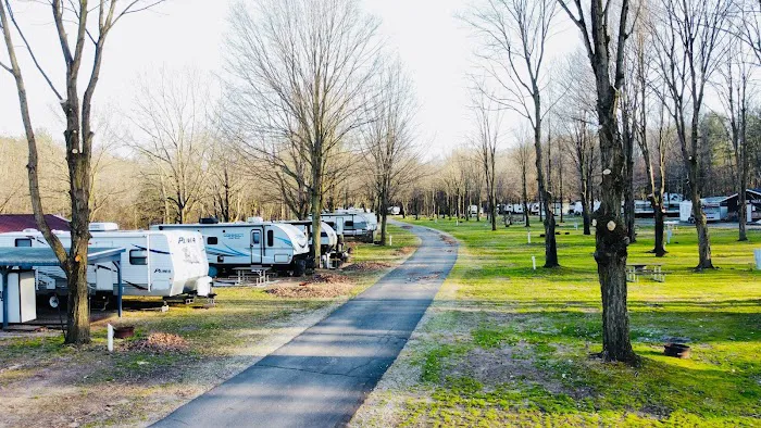 Forest Haven RV Park and Campground Picture 4