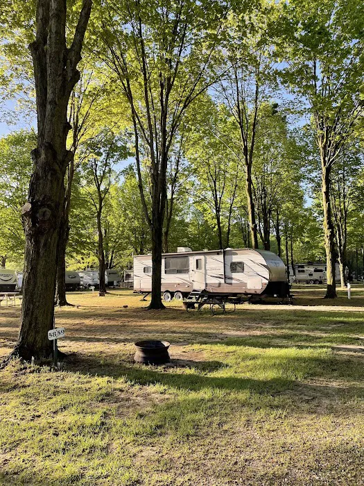 Forest Haven RV Park and Campground Picture 5