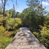 Brush Creek Campground ico