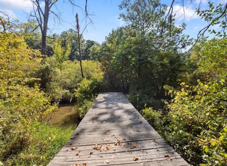 Brush Creek Campground
