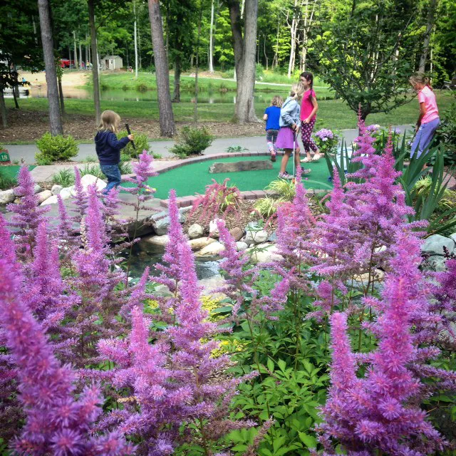 TriPonds Family Camp Resort Picture 3